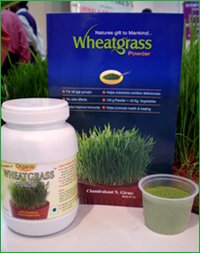 girmes wheat grass powder