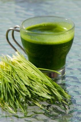wheat grass juice