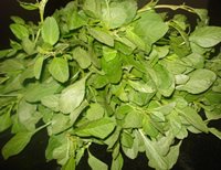 Siru Keerai